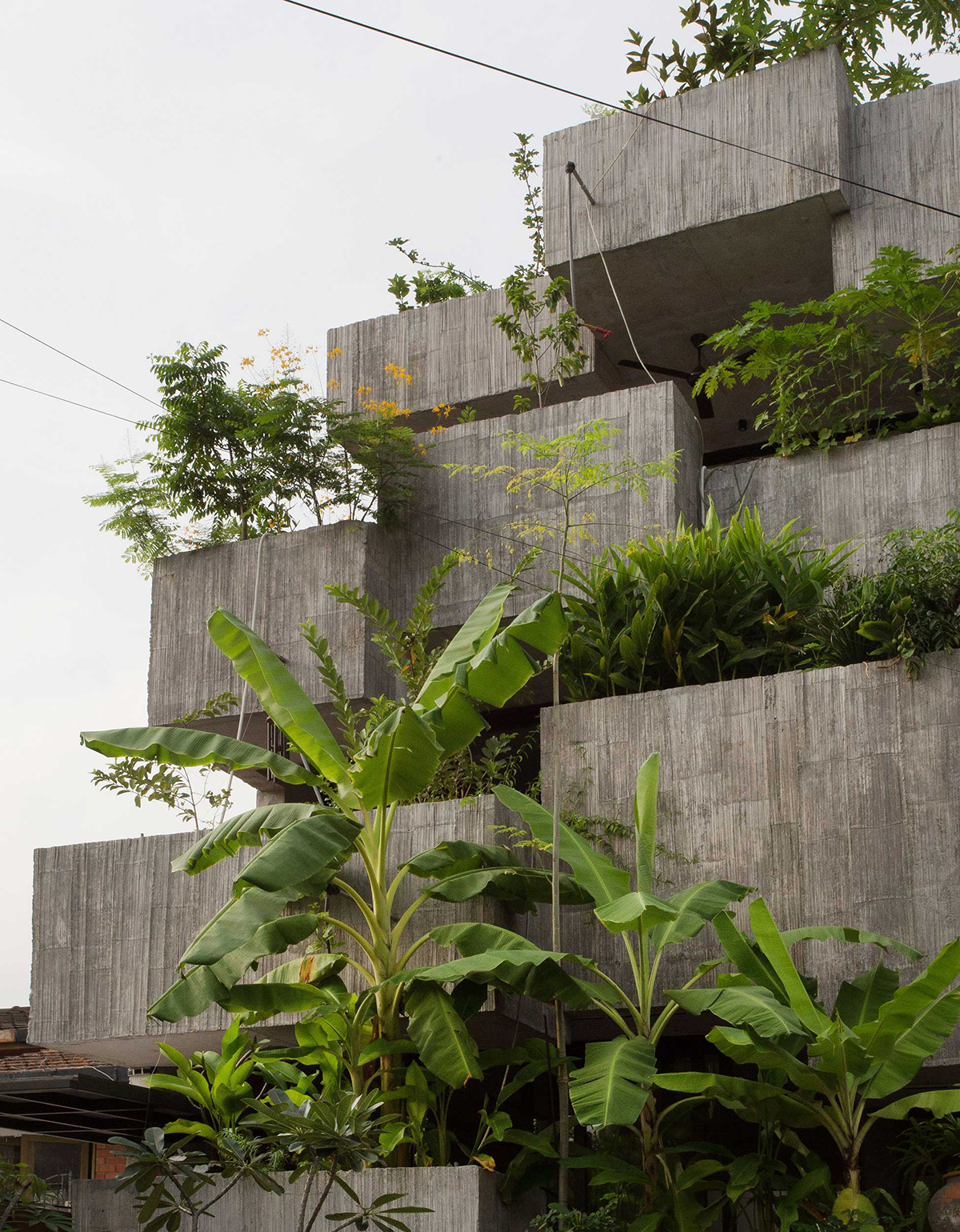 Planter Box House A Concrete House Covered With Plants Idealwork planter-box-house-a-concrete-house-covered-with-plants-idealwork